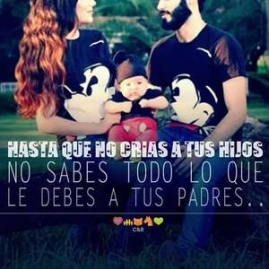 Meet your Posher, Freddy